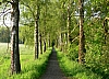 Reihungen 002 - (c) E Rockstroh.jpg